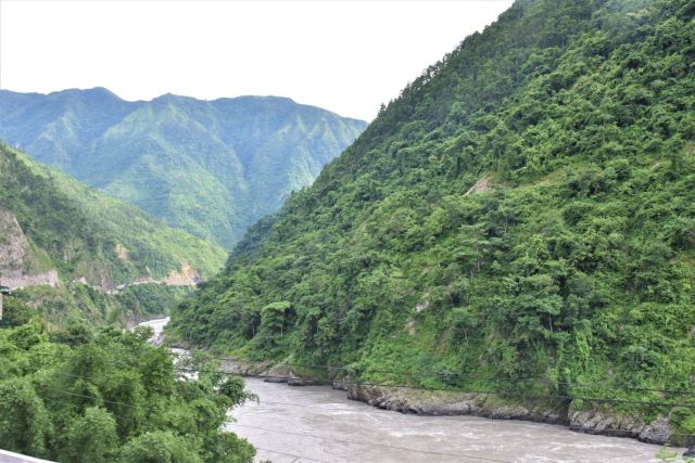 wnf1254 - DSC_5095 - small